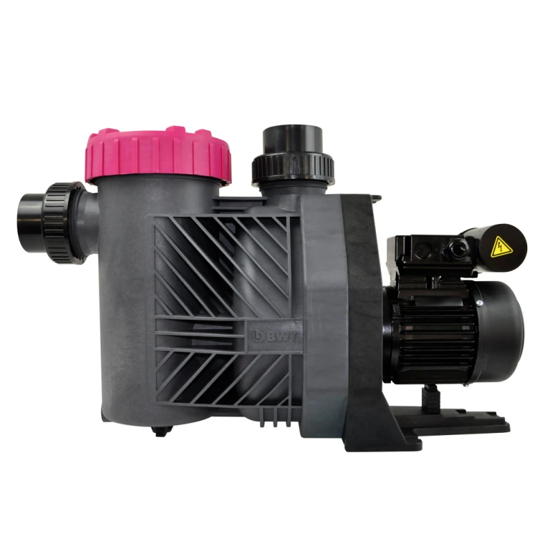 Bomba De Filtración BWT Eurostar HF II 2 Bomba De Filtración BWT Eurostar HF II - Imagen 2